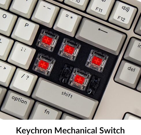 Keychron C2 Full Size Wired Mechanical Keyboard Compatible with Mac, Keychron Brown Switch, 104 Keys ABS Retro Color Keycaps Gaming Keyboard for Windows, USB-C Type-C Braid Cable in Kuwait
