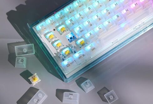 لوحة مفاتيح ألعاب لاسلكية MechLands MC66 65% قابلة للبرمجة RGB 2.4 جيجا هرتز/ بلوتوث/USB-C مع وسادة سيليكون مزدوجة ممتصة للصوت، بطارية 4000 مللي أمبير في الساعة لنظام Win/MAC/iOS (أبيض، مفتاح Budgerigar) in Kuwait