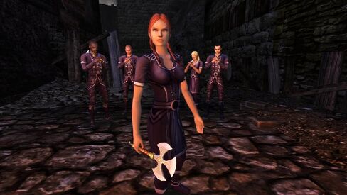 Dungeons and Dragons Online [Download] in Saudi Arabia