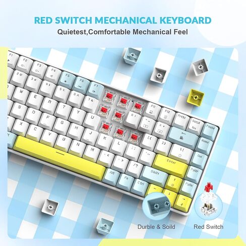 LexonElec RK-84 Portable Mechanical Gaming Keyboard,Rainbow LED Backlit Compact 84 Keys Mini Wired Office Keyboard with Blue Switch for Windows Laptop PC Mac-White/Blue/Orange in Kuwait