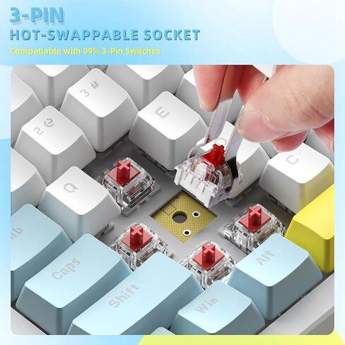 LexonElec RK-84 Portable Mechanical Gaming Keyboard,Rainbow LED Backlit Compact 84 Keys Mini Wired Office Keyboard with Blue Switch for Windows Laptop PC Mac-White/Blue/Orange in Kuwait