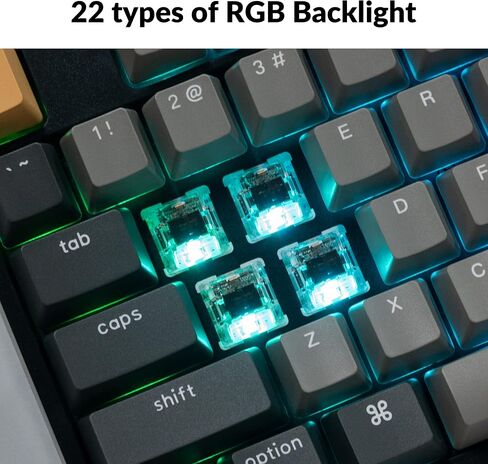 Keychron C2 Pro Wired QMK/VIA Mechanical Keyboard Full Size Layout Custom Programmable Macro RGB Backlit with Keychron K Pro Red Switch OEM Profile Double-Shot PBT Keycaps for Mac Windows Linux in Saudi Arabia