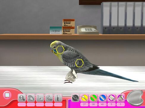 My Vet Practice - In the Country [Online Game Code] in Saudi Arabia
