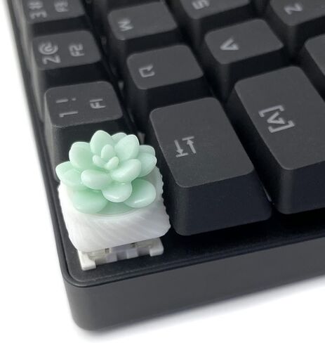 غطاء مفاتيح Capsmiths Succulent Artisan Keycap - Echeveria - لوحات مفاتيح الألعاب الميكانيكية MX (أرجواني) in Kuwait