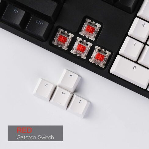 Keychron C2 Full Size 104 Keys USB Type-C Wired Mechanical Gaming Keyboard for Mac Layout, Gateron G Pro Red Switch/RGB Backlight/Double-Shot ABS keycaps Computer Keyboard for Windows Laptop PC in Saudi Arabia