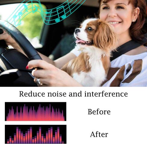 Car Power Filter EMI Noise Ground Loop Isolator Suppressor for Auto Stereo Audio Radio Stereos Amplifier Amp Speaker Equalizer Subwoofer 12V in Saudi Arabia