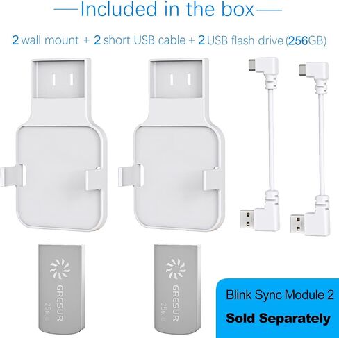 256GB USB Flash Drive for Blink Sync Module 2 with Outlet Wall Mount(2Pack) | Reliable Local Storage, Space-Saving Sync Module 2 Mount, No Drilling, Portable & Flexible, Fits Blink Outdoor Indoor System in Saudi Arabia