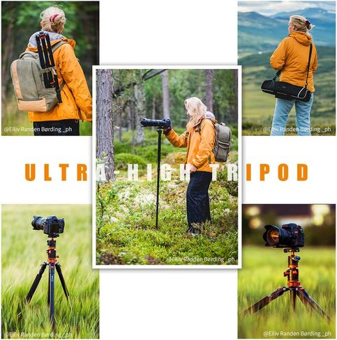 K&F Concept 94 Inch Camera Tripods 4 Section Ultra High Aluminum Professional Detachable Monopod Tripod with 360 Degree Ball Head Quick Release Plate for DSLR SLR Cameras T254A8+BH-28L (SA254T1) in Saudi Arabia