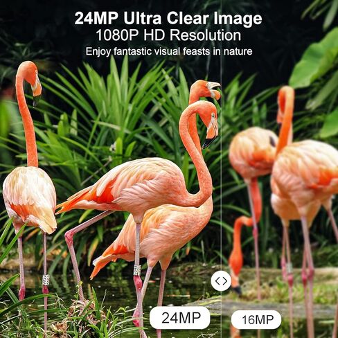 KJK 2 Pack Trail Cameras 24MP 1080P، بطاقة SD 32G وبطاريات 8AA، كاميرا ألعاب مع حركة رؤية ليلية نشطة مقاومة للماء IP66 0.2s وقت التشغيل مع كاميرا بزاوية واسعة 120 درجة لمراقبة الحياة البرية in Kuwait