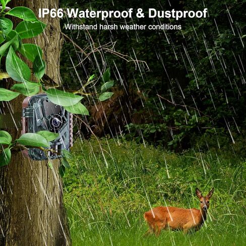 KJK 2 Pack Trail Cameras 24MP 1080P، بطاقة SD 32G وبطاريات 8AA، كاميرا ألعاب مع حركة رؤية ليلية نشطة مقاومة للماء IP66 0.2s وقت التشغيل مع كاميرا بزاوية واسعة 120 درجة لمراقبة الحياة البرية in Kuwait