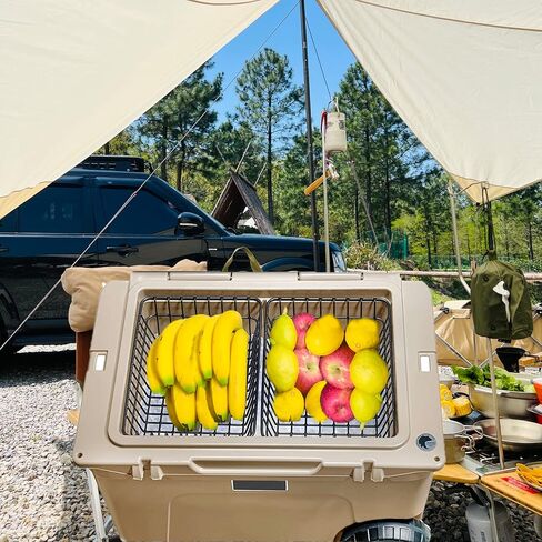 Cooler Basket for YETI Tundra Haul, Yeti Roadie 48, YETI Roadie 60,Compatible with Other lgloo Accessories Cooler Locks,Ice etc,Coolers Basket Keeps Food Dry. in Saudi Arabia
