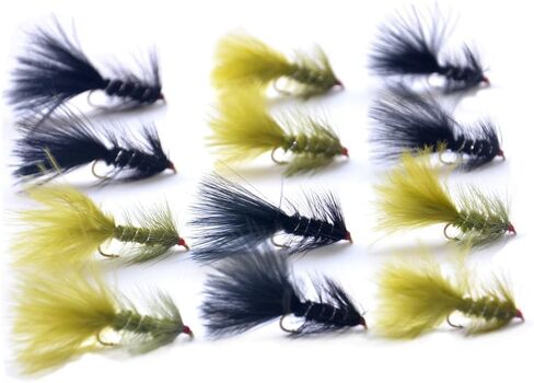 Outdoor Planet 12 Pieces Top Rating Dry/Nymph/Streamer Fly Fishing Flies Trout Fly Assortment in Saudi Arabia