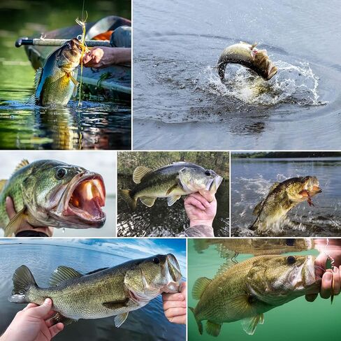 SF Pre-Tied Loop Fly Fishing Tapered Leader Nylon Clear Trout Freshwater Saltwater Bonefish Permit Bass Salmon Steelhead 7.5FT 9FT 10FT 12FT 15FT 0X 1X 2X 3X 4X 5X 6X 7X in Saudi Arabia