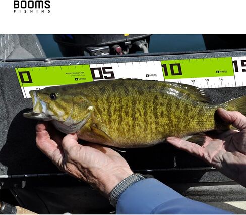 Booms Fishing TK1U 4pcs مجموعة أدوات الصيد، إبرة الأنف كماشة الصيد المياه المالحة، القابض الشفاه الأسماك، مقص الصيد مع ضام، حاكم الأسماك لاصقة، هدايا الصيد للرجال، اكسسوارات الصيد الجليد in Kuwait