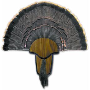 هنتر سبيشالز اتش اس Strut Turkey Tail & Beard مجوعة تثبيت على حامل in Kuwait