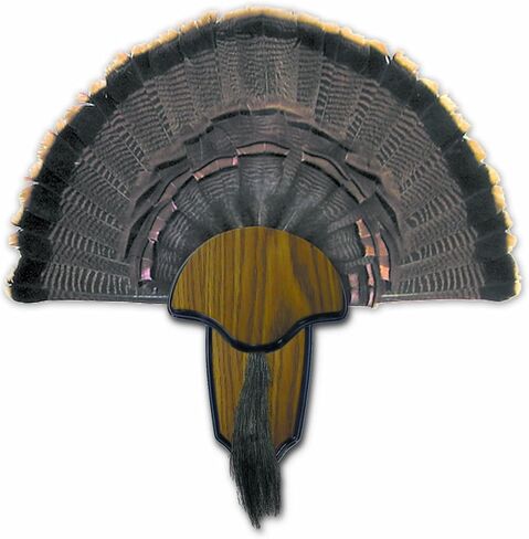 هنتر سبيشالز اتش اس Strut Turkey Tail & Beard مجوعة تثبيت على حامل in Kuwait