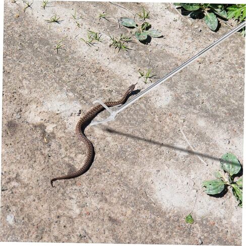 Trash Picker Sticks Snake Grabber Tool Snake Stainless Steel Trash Crab Reptile Litter Tongs in Saudi Arabia