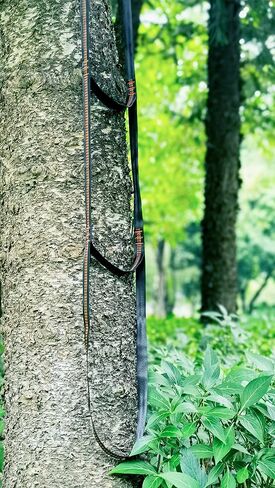 3-Step Climbing Stick Aider with 2*Durable Carabiners, Tree Stand Steps, Bright-Orange Webbing Hunting Ladders, Easy-to-use Lightweight Rope Aider for Hunting Safety, Outdoor Climbing in Kuwait