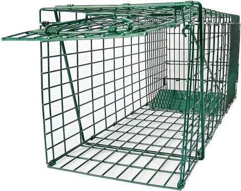 Collapsible Humane Live Animal Cage Trap No-Kill Trapping Kit for Humane Catch Release Rabbits, Stray Cat, Squirrel, Raccoon, All Fit Sized Animals, Heavy Duty, 2-Door 26" x 9.5" x 10.2", Hidden Green in Saudi Arabia
