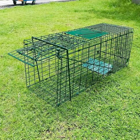 Collapsible Humane Live Animal Cage Trap No-Kill Trapping Kit for Humane Catch Release Rabbits, Stray Cat, Squirrel, Raccoon, All Fit Sized Animals, Heavy Duty, 2-Door 26" x 9.5" x 10.2", Hidden Green in Saudi Arabia