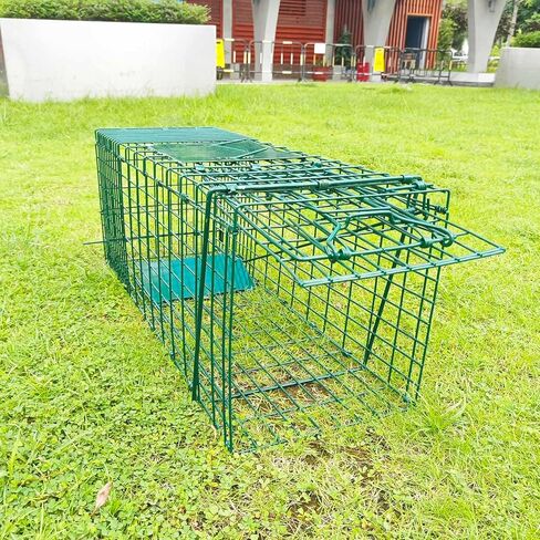 Collapsible Humane Live Animal Cage Trap No-Kill Trapping Kit for Humane Catch Release Rabbits, Stray Cat, Squirrel, Raccoon, All Fit Sized Animals, Heavy Duty, 2-Door 26" x 9.5" x 10.2", Hidden Green in Saudi Arabia