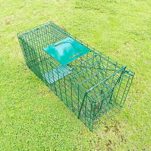 Collapsible Humane Live Animal Cage Trap No-Kill Trapping Kit for Humane Catch Release Rabbits, Stray Cat, Squirrel, Raccoon, All Fit Sized Animals, Heavy Duty, 2-Door 26" x 9.5" x 10.2", Hidden Green in Saudi Arabia