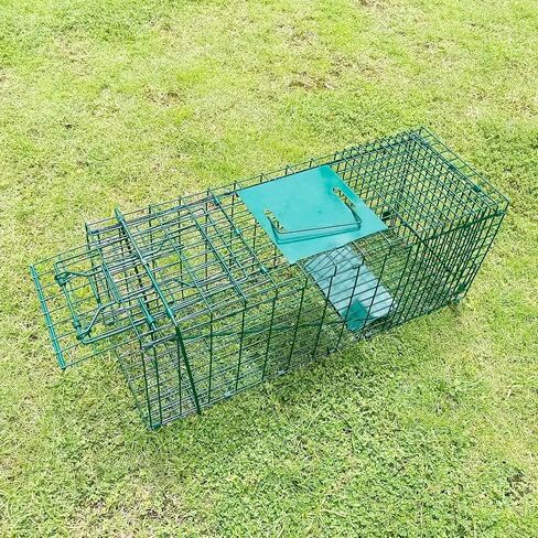Collapsible Humane Live Animal Cage Trap No-Kill Trapping Kit for Humane Catch Release Rabbits, Stray Cat, Squirrel, Raccoon, All Fit Sized Animals, Heavy Duty, 2-Door 26" x 9.5" x 10.2", Hidden Green in Saudi Arabia