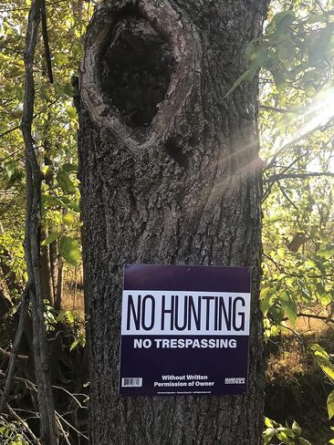 صن براست سيستمز لافتة بعبارة No Hunting/Trespassing Property Marking 8616، 12 انش × 12 انش، عبوة من 10 قطع، ارجواني in Kuwait