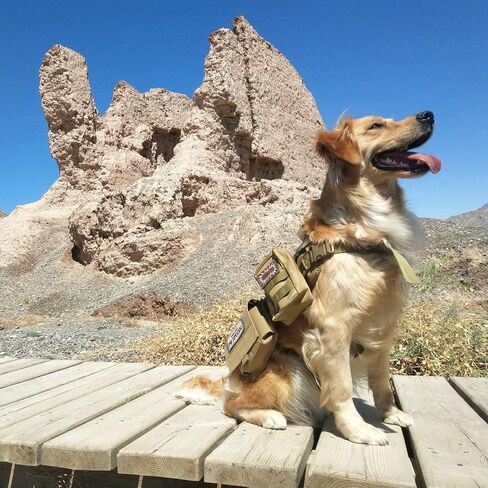 Petvins التكتيكية الكلب مولي سترة تسخير K9 قابل للتعديل في الهواء الطلق خدمة التدريب التمويه تسخير مع 3 أكياس قابلة للفصل اللون البني حجم XL in Kuwait