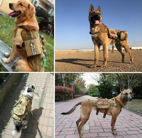 Petvins التكتيكية الكلب مولي سترة تسخير K9 قابل للتعديل في الهواء الطلق خدمة التدريب التمويه تسخير مع 3 أكياس قابلة للفصل اللون البني حجم XL in Kuwait