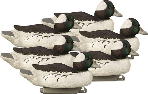 Higdon Outdoors Standard Bufflehead Duck Decoys، جميع أنواع البط، مملوءة بالرغوة in Saudi Arabia