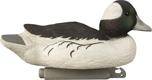Higdon Outdoors Standard Bufflehead Duck Decoys، جميع أنواع البط، مملوءة بالرغوة in Saudi Arabia