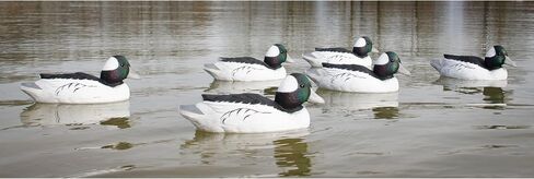 Higdon Outdoors Standard Bufflehead Duck Decoys، جميع أنواع البط، مملوءة بالرغوة in Saudi Arabia