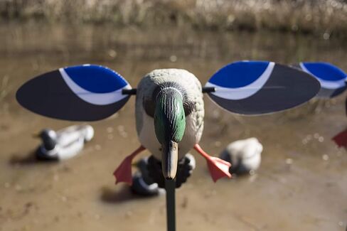 MOJO Baby Mojo Mallard Spinning Wing Duck Decoy for Duck Hunting in Saudi Arabia
