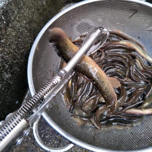 ملقط Ankexin مقاس 29 بوصة لصائد الثعابين، ملقط احترافي للزواحف المنتزع، مقبض قفل تلقائي ومقبض مريح in Kuwait