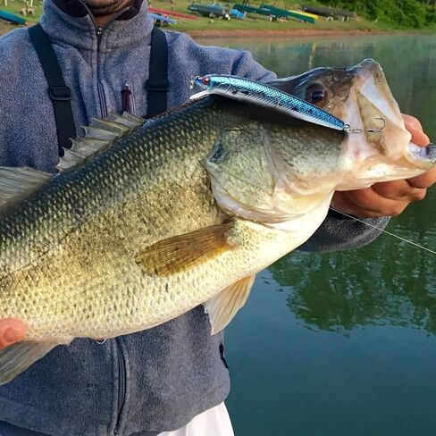 Aneew Bulk 56 Pack Topwater Fishing Bass Lures Kit Tackle Bait Crankbait Swimbaits Jerkbaits Minnow Popper Pencil Vib Hard Baits Trout Pike Musky Walleye Perch Treble Hook Freshwater Saltwater in Saudi Arabia