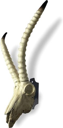 HIFLAME 3 Pack of European Skull Wall Mount Bracket Hangers for Deer Mule Antelope Coyote and Small Game Animals - Complete with Simple & Easy Installation Kits - Suitable, (Black) in Saudi Arabia