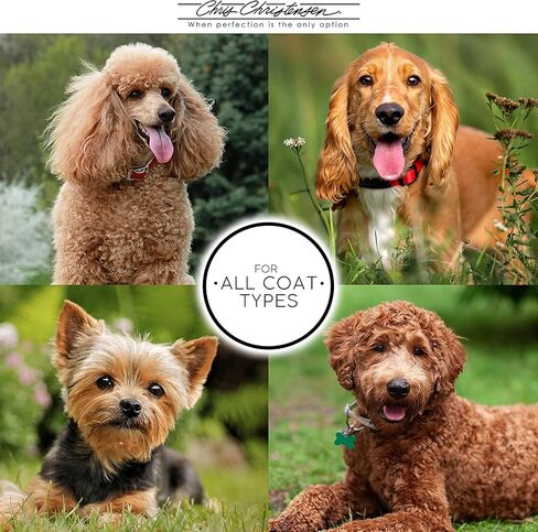 Chris Christensen White Ice Chalk, Dog Cosmetics, Groom Like a Professional, Natural Look, Easy to Apply and Blend, Does Not Contain Bleach or Peroxide, Made in The USA, 8 oz in Saudi Arabia