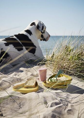 Light My Fire Camping Mess Kit - 8 pcs Mess Kit for Camping 1 Person - Reusable Camping Plates and Utensils - BPA Free Lunch Box to Go with Cutlery - Camping Dishes/Hiking Mess Kit/Bento Box in Kuwait