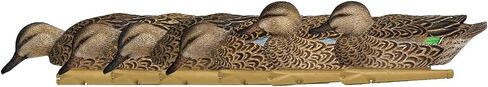 Avian-X Topflight Early Season Teal Durable Ultra Realistic Floating Hunting Duck Decoys, Pack of 6, AVX8079 in Saudi Arabia