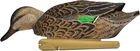 Avian-X Topflight Early Season Teal Durable Ultra Realistic Floating Hunting Duck Decoys, Pack of 6, AVX8079 in Saudi Arabia