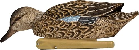 Avian-X Topflight Early Season Teal Durable Ultra Realistic Floating Hunting Duck Decoys, Pack of 6, AVX8079 in Saudi Arabia