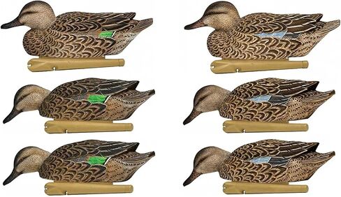 Avian-X Topflight Early Season Teal Durable Ultra Realistic Floating Hunting Duck Decoys, Pack of 6, AVX8079 in Saudi Arabia