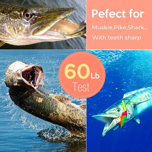 Scotank Fishing Leaders, Fish Line Stainless Steel Wire with Swivels Snap Connect Fishing Gear and Equipment Tackle Kit, for Lures Bait Rig Or Hooks, Fishing Gift in Kuwait