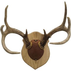 مجموعة أدوات عرض وتركيب قرن الجوز Hollow Country Antler من Walnut، بلوط in Saudi Arabia