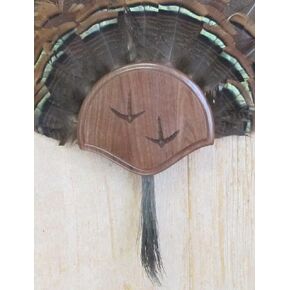 Taxidermists Woodshop The Black Walnut Carved Turkey Mounting Kit -01 in Kuwait