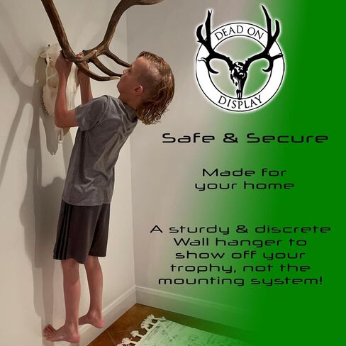 European Skull Hanger, Big Game Hanger, Wall Mount for Moose Wall Mount, Buffalo, Elk, Deer, African Game, Taxidermy Animal Trophy Mounting Kit (Large Skull Hanger) in Saudi Arabia