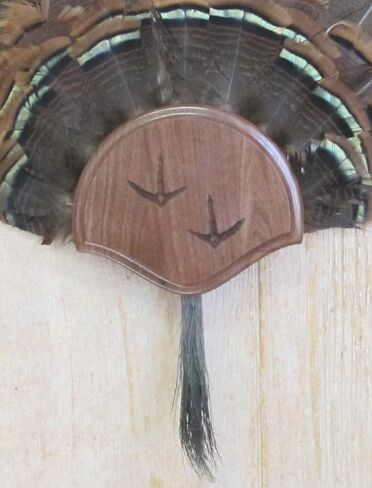 Taxidermists Woodshop The Black Walnut Carved Turkey Mounting Kit -01 in Kuwait