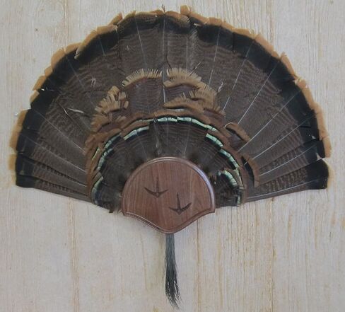 Taxidermists Woodshop The Black Walnut Carved Turkey Mounting Kit -01 in Kuwait