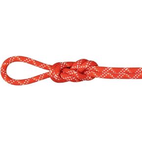 Mammut 9.5 Gym Classic Rope